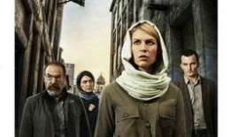 国土安全5在线观看免费,免费在线观看，揭秘国家安全危机