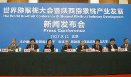 陕西最近的新爆料新闻,揭秘某重大事件背后真相