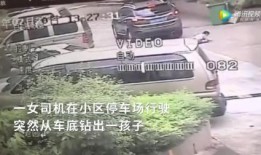 小区停车爆料怎么办啊视频,揭秘停车难题，共商解决方案