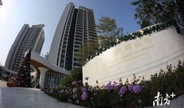 澳门新街坊爆料视频,揭秘社区生活新面貌