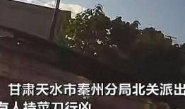 甘肃爆料天水事件视频,真相与争议交织