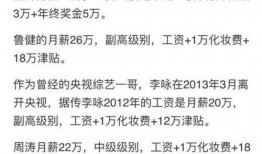 杨锐爆料工资视频,揭秘娱乐圈薪酬内幕