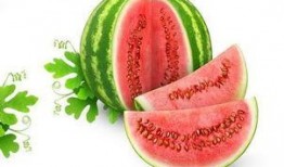 网红吃瓜视频有哪些经典案例,盘点那些令人难忘的经典案例