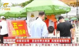 广西村民爆料新闻视频,神秘事件引发热议，真相究竟如何？