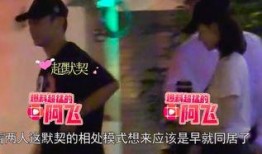 郑恺家世爆料视频大全,视频大全揭示明星背后的家族故事