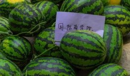 17cgcg吃瓜爆料-免费吃瓜-吃瓜官网