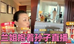 兰姐爆料录音视频,录音视频揭秘惊人内幕