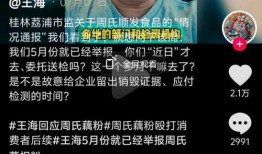 爆料打假人视频大全最新,打假人视频大全深度解析