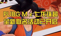 pubgm最新联名爆料,潮流跨界合作，游戏新篇章即将开启！