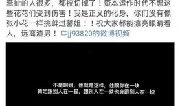 大力最近爆料视频播放时间,大力最新爆料视频，时长曝光，精彩内容抢先看！