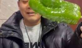 河北吃瓜网红事件视频