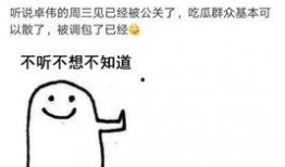 卓伟爆料跳水视频播放,跳水视频引发热议，真相究竟如何？