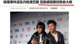 羽泉爆料唱歌视频,幕后高歌瞬间，带你领略音乐的魅力