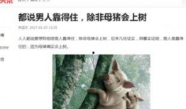 头条爆料搞笑视频,笑到肚子疼！