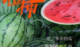 神秘吃瓜网红,揭秘网络红人的幕后故事