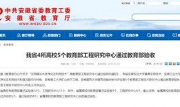 合肥爆料新闻,揭秘城市热点事件背后的真相