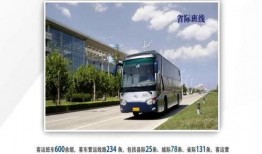 石家庄客运站爆料事件最新,真相与争议交织的幕后真相揭露