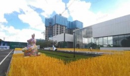 保利爆料最新消息今天新闻,今日新闻焦点速览