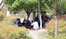 威宁动态爆料最新消息,揭秘事件背后真相