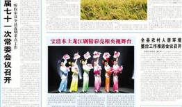 双鸭山最新爆料新闻事件,揭秘背后惊人真相