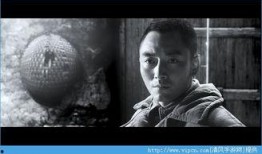 钢刀电影手机在线观看,手机在线观看，热血激战，正义归来！