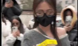 追星吃瓜爆料视频,追星吃瓜，揭秘明星幕后故事