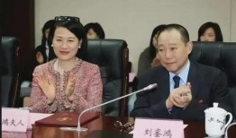 刘銮鸿爆料李嘉欣了吗视频,视频爆料真相大白