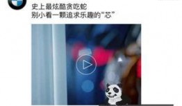 夜场套路爆料案例视频,真实案例视频深度剖析