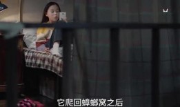 三姐姐爆料视频大全,揭秘娱乐圈幕后真相