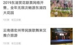 武汉市新闻爆料平台官网,聚焦城市脉搏，传递市民声音