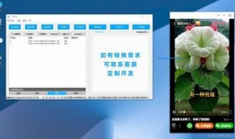 生活中爆料视频大全下载,爆款视频大全下载精选回顾