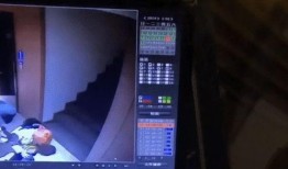 奶砖爆料监控视频播放下载,下载播放背后的真相