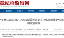 合肥爆料新闻,揭秘城市热点事件背后的真相