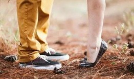 求一个在线观看的,揭秘在线观看的便捷之旅