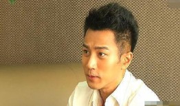 刘恺威内涵爆料视频大全,揭秘娱乐圈幕后真相