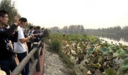 临沂公园爆料事件视频,惊人一幕引发社会关注