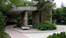 临沂公园爆料事件视频,惊人一幕引发社会关注