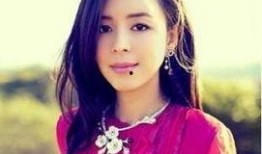 娱乐圈爆料张静初,真相与传闻的交织