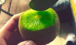 抖音网红吃瓜都有谁了,揭秘热门事件背后的瓜界势力