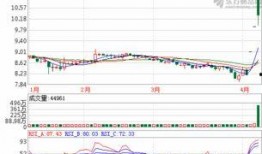 建发能源爆料最新消息今天,揭秘能源行业重大动态！”