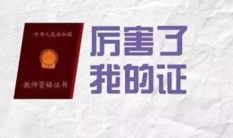 云南省高校爆料案件最新,真相揭秘，校园安全再引关注