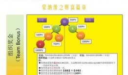 纳维莱特最新爆料,揭秘娱乐圈惊人内幕