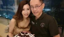 刘銮鸿爆料李嘉欣了吗视频,视频爆料真相大白