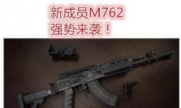 ss9赛季最新爆料枪械,揭秘全新爆料中的神秘武器