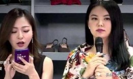 老板爆料李湘视频大全最新,老板爆料背后的真相与争议