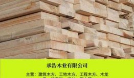 最新爆料木头龙正式开拆,正式开拆，揭秘背后惊人真相