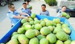 十堰网红吃瓜群微信