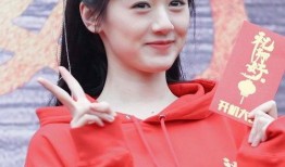 袁冰妍替身爆料视频在线观看,揭秘幕后的真实故事