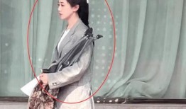 袁冰妍替身爆料视频在线观看,揭秘幕后的真实故事