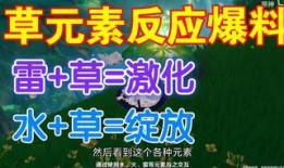 关于草神爆料的视频素材,视频素材揭示神秘生物真实面貌
